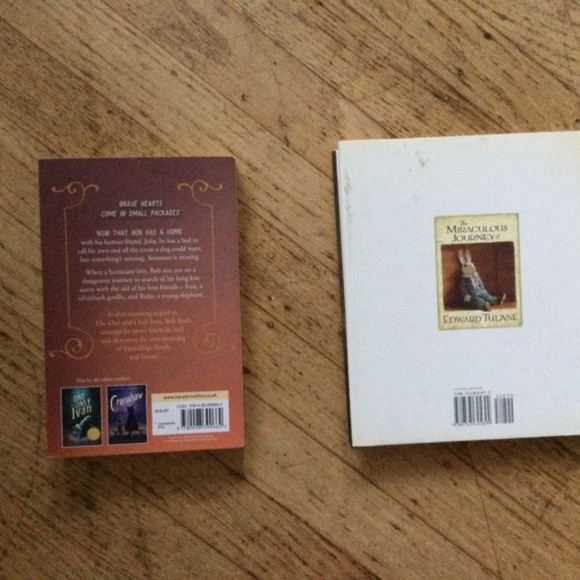 The one and only Bob and the miraculous journey of Edward Tulane books - Picture 6 of 9